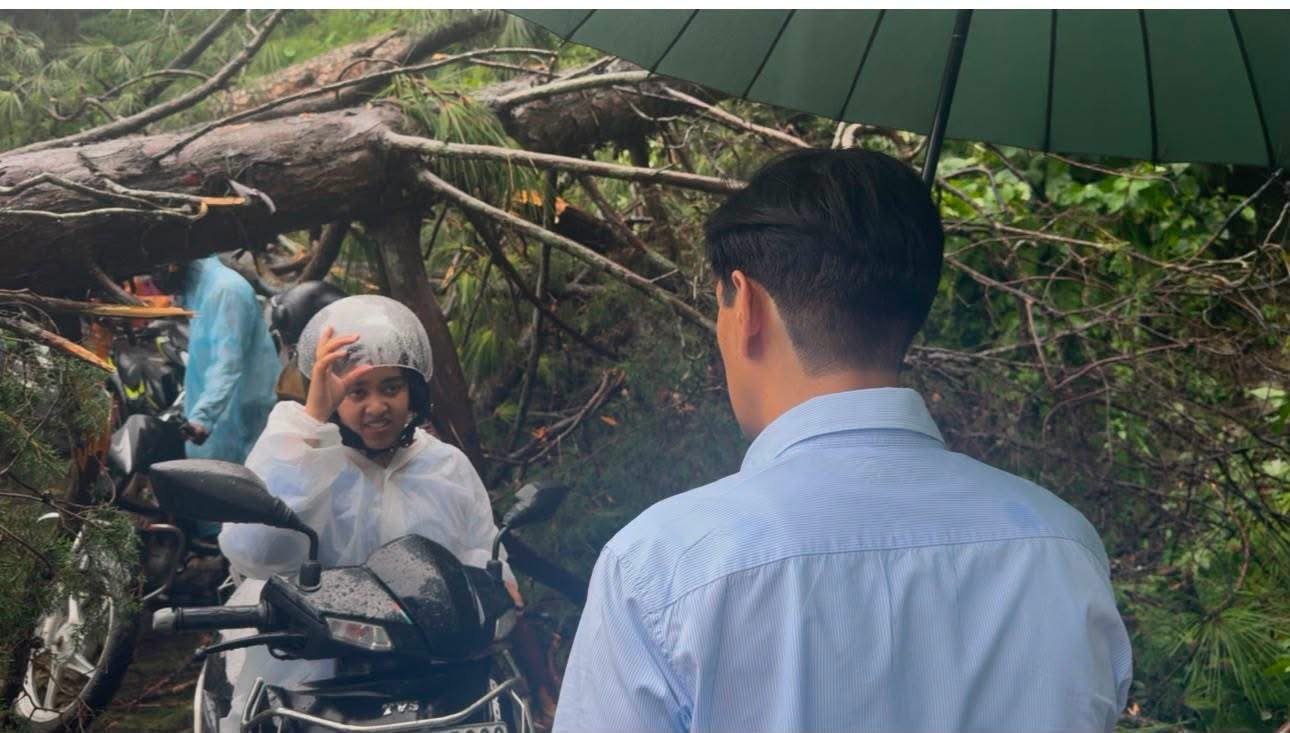 वल्दियाखान में सड़क पर विशाल चीड़ का पेड़ गिरने से यातायात ठप हो गया। मौके से गुजर रहे कुमाऊँ आयुक्त दीपक रावत ने स्वयं संभाला मोर्चा